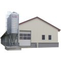 Qingdao Director Steel Structure Chicken House Light Steel Structure Prefabricated Poultry House Building